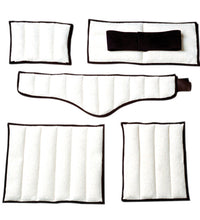 Primary Image Link