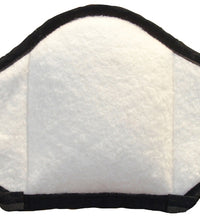 Primary Image Link