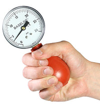 Primary Image Link