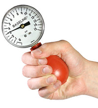 Primary Image Link