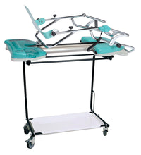 Primary Image Link