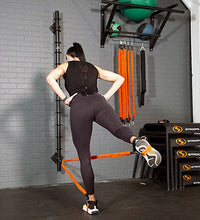 Primary Image Link