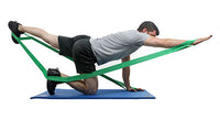 Primary Image Link