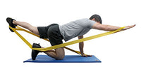 Primary Image Link