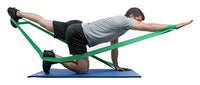 Primary Image Link