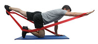 Primary Image Link