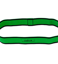 Primary Image Link