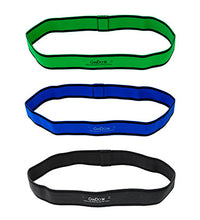 Primary Image Link
