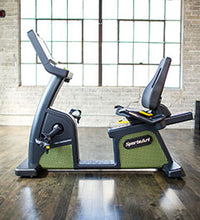 Primary Image Link