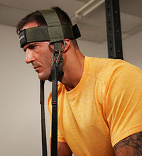 Primary Image Link