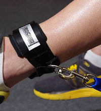 Primary Image Link