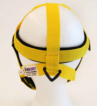 Primary Image Link