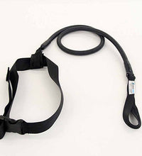 Primary Image Link