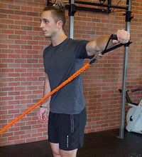 Primary Image Link