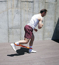 Primary Image Link
