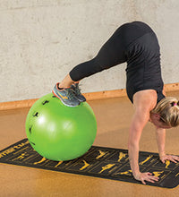 Primary Image Link