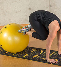 Primary Image Link