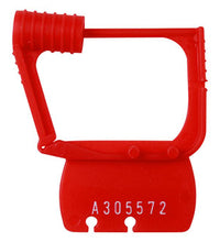 Primary Image Link