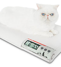 Primary Image Link