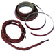 Allen Diagnostic Lacls Replacement Kit