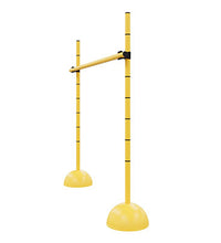 Primary Image Link