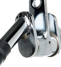 Primary Image Link