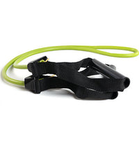 Primary Image Link