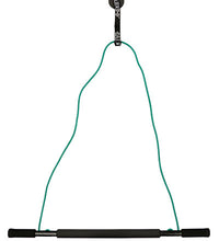 Primary Image Link