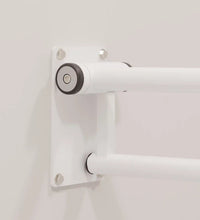 Primary Image Link