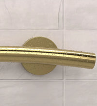 Primary Image Link