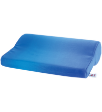Primary Image Link