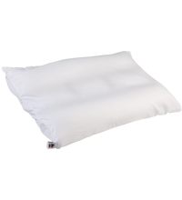 Primary Image Link