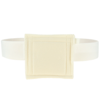 Primary Image Link