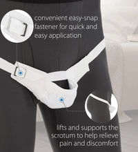 Primary Image Link