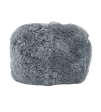 Primary Image Link