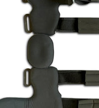 Primary Image Link