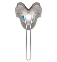 Primary Image Link