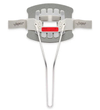 Primary Image Link