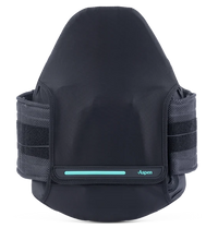Primary Image Link
