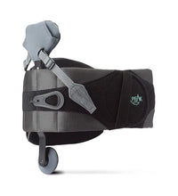 Primary Image Link