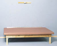 Primary Image Link