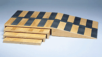 Primary Image Link