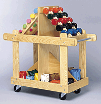 Primary Image Link