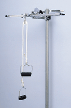 Primary Image Link