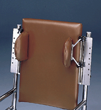 Primary Image Link