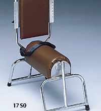 Primary Image Link