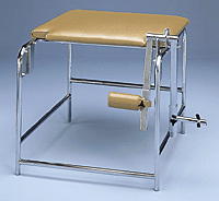 Primary Image Link