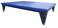 Primary Image Link
