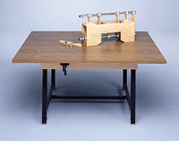 Primary Image Link