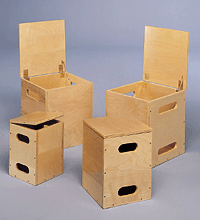 Primary Image Link
